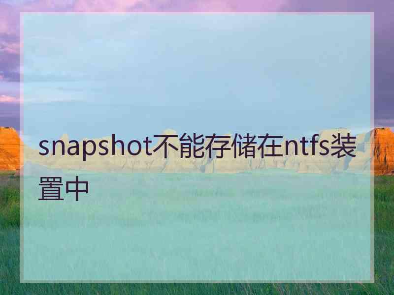 snapshot不能存储在ntfs装置中