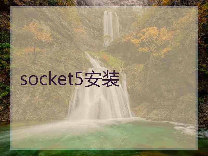 socket5安装