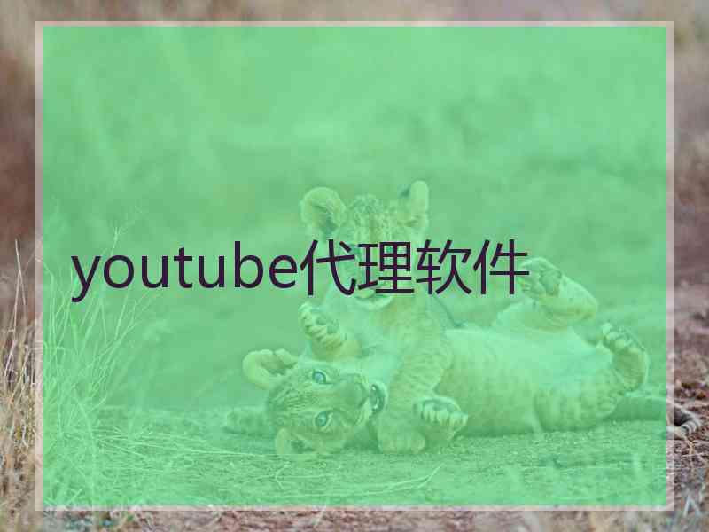 youtube代理软件