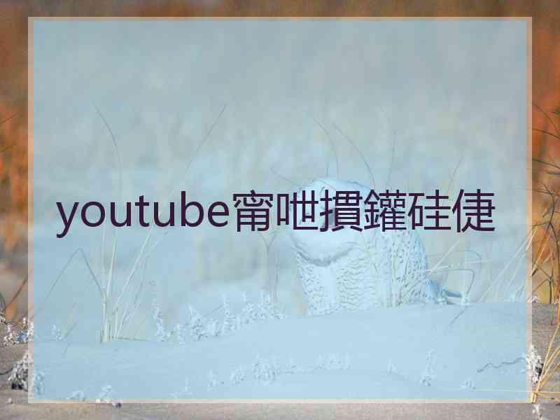 youtube甯呭摜鑵硅倢