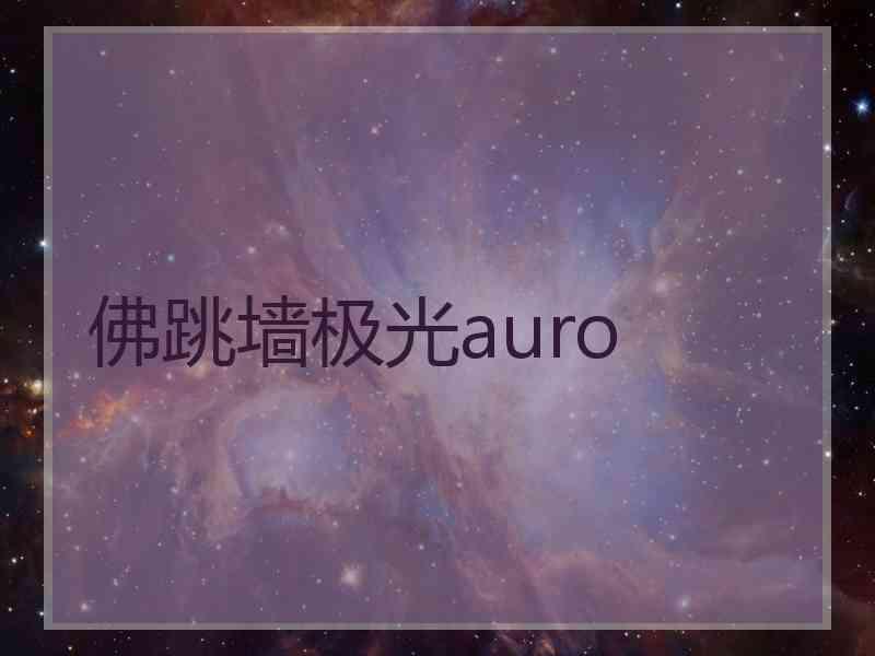 佛跳墙极光auro