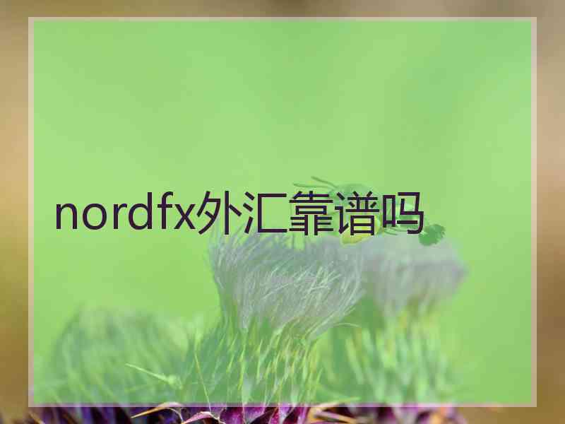 nordfx外汇靠谱吗