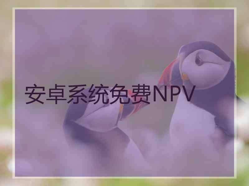 安卓系统免费NPV