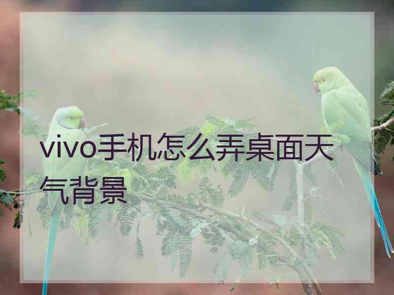 vivo手机怎么弄桌面天气背景