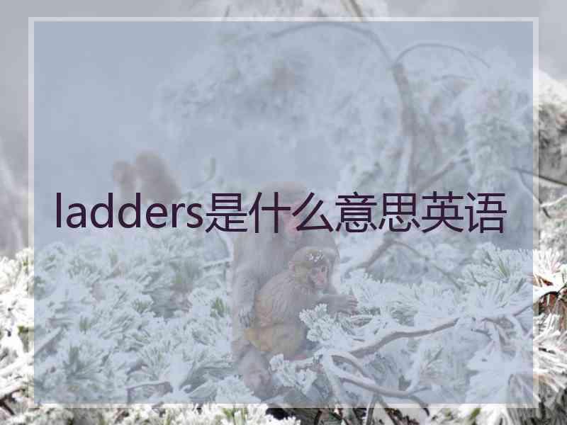 ladders是什么意思英语