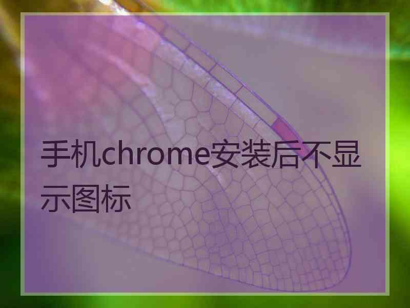 手机chrome安装后不显示图标