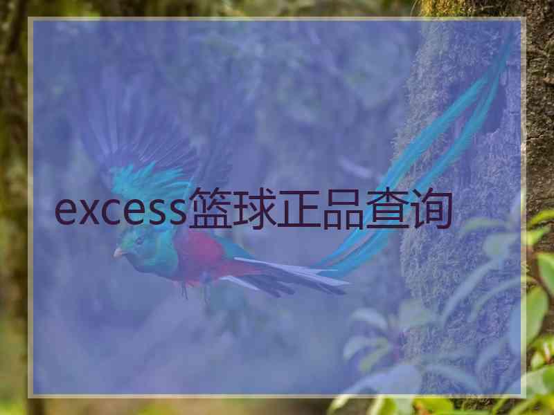 excess篮球正品查询