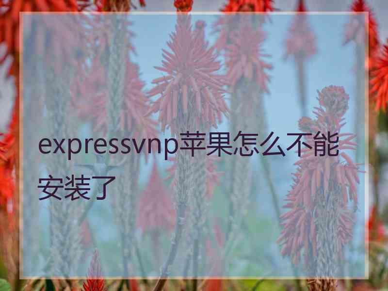 expressvnp苹果怎么不能安装了