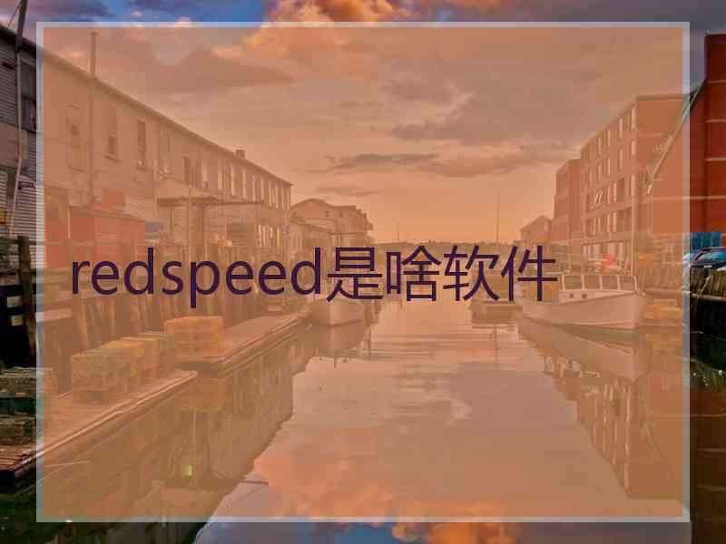 redspeed是啥软件