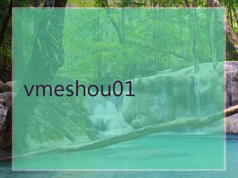 vmeshou01