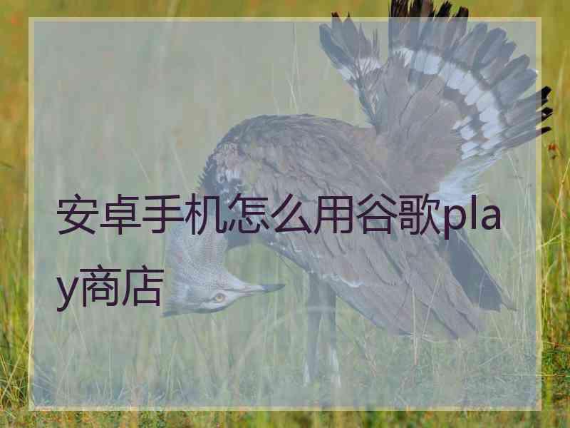 安卓手机怎么用谷歌play商店