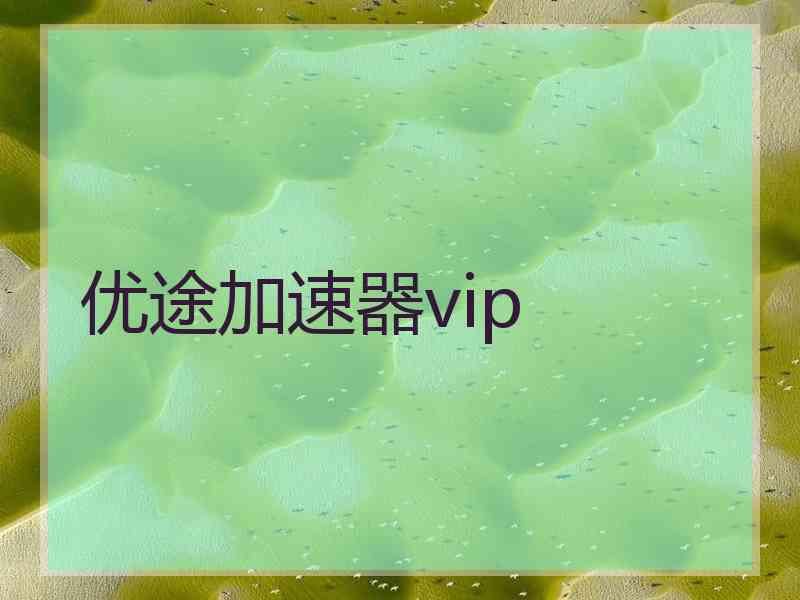 优途加速器vip