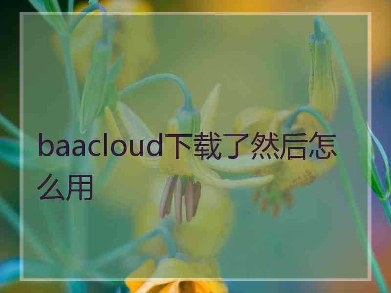 baacloud下载了然后怎么用