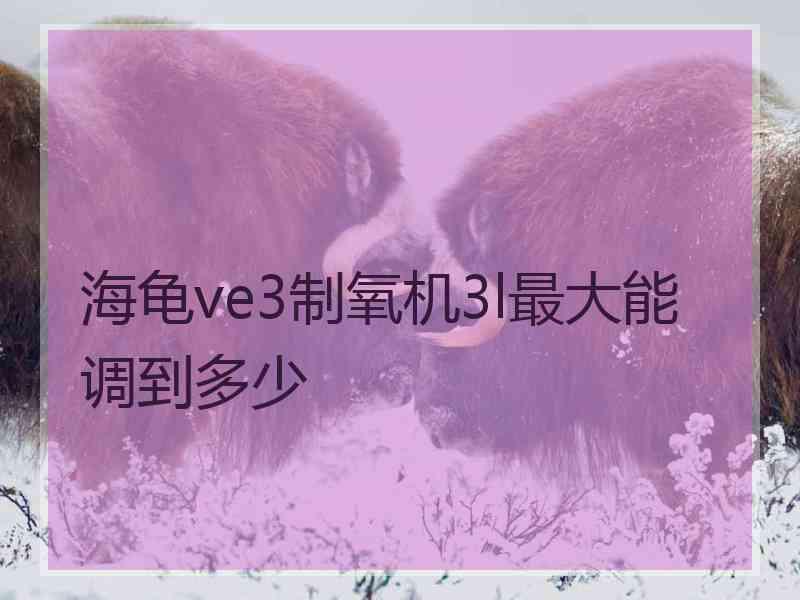 海龟ve3制氧机3l最大能调到多少