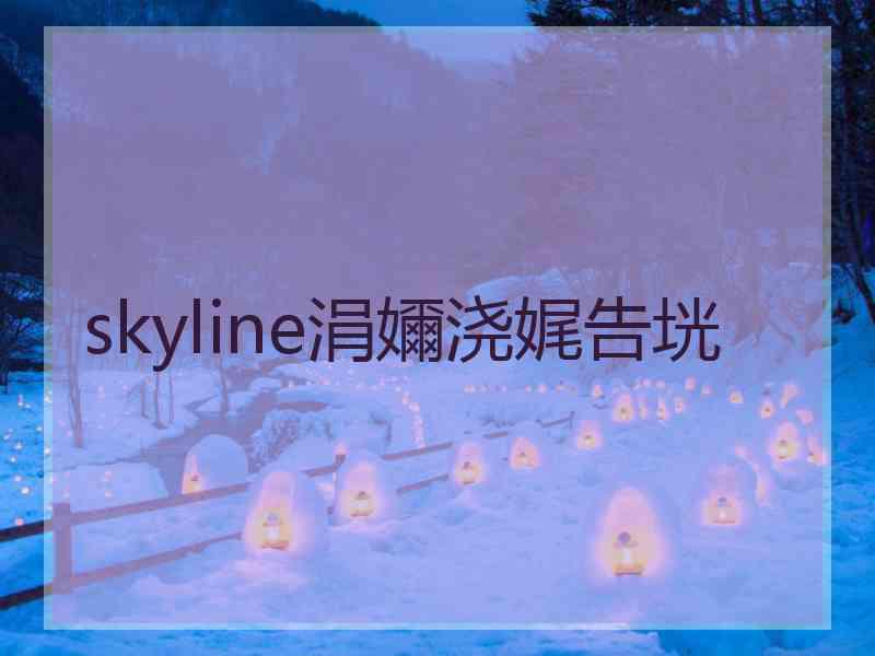 skyline涓嬭浇娓告垙