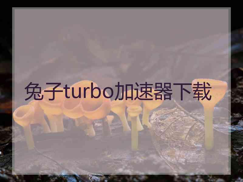 兔子turbo加速器下载