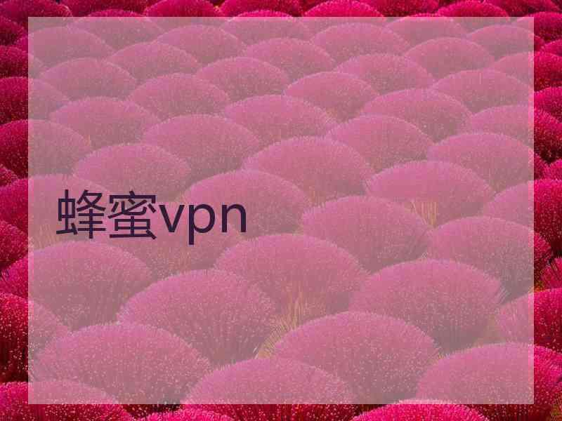 蜂蜜vpn