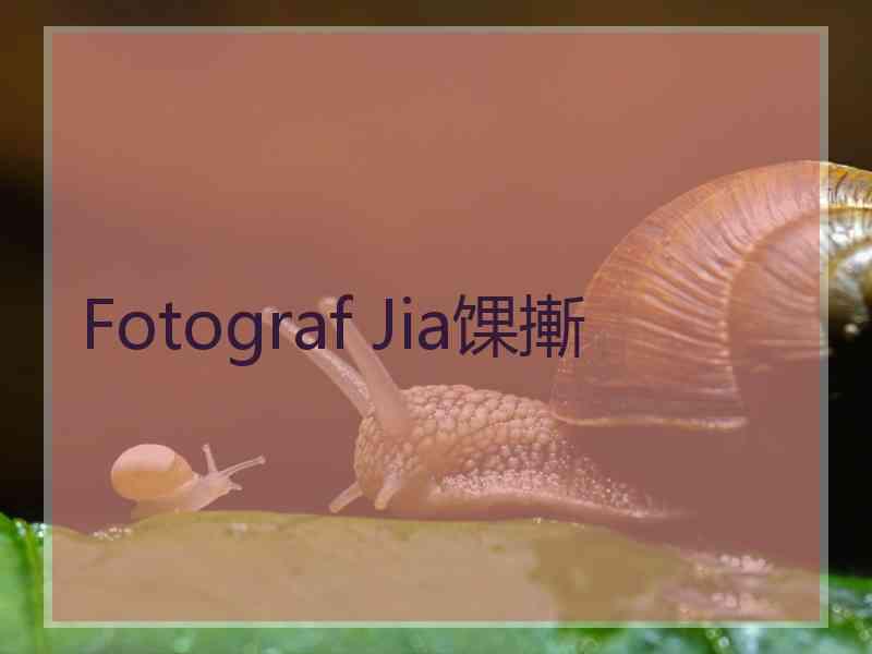 Fotograf Jia馃摲