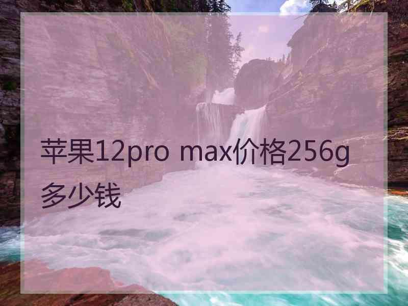 苹果12pro max价格256g多少钱