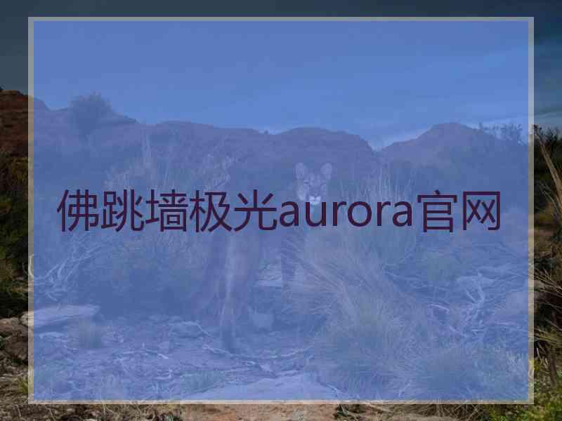 佛跳墙极光aurora官网