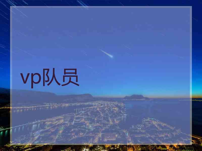 vp队员