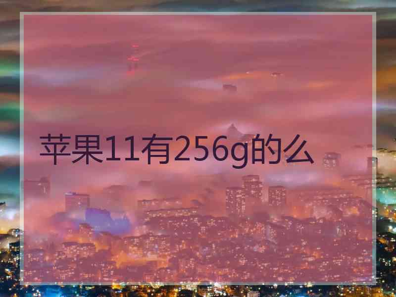 苹果11有256g的么