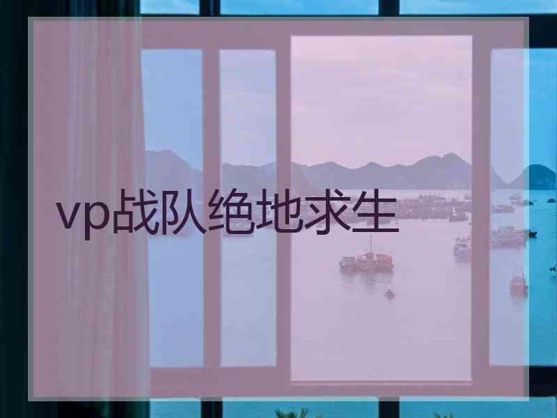 vp战队绝地求生