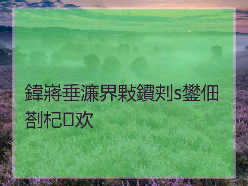 鍏嶈垂濂界敤鐨刾s鐢佃剳杞欢