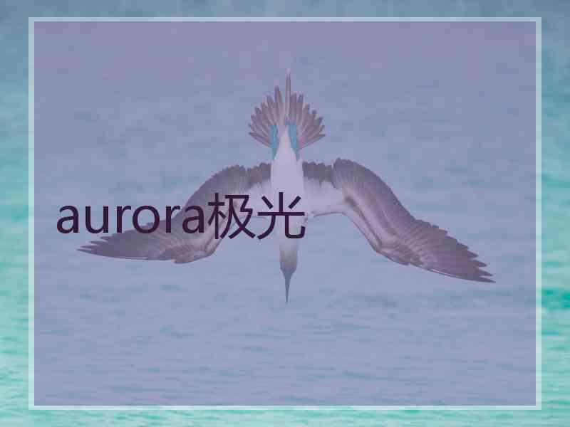 aurora极光