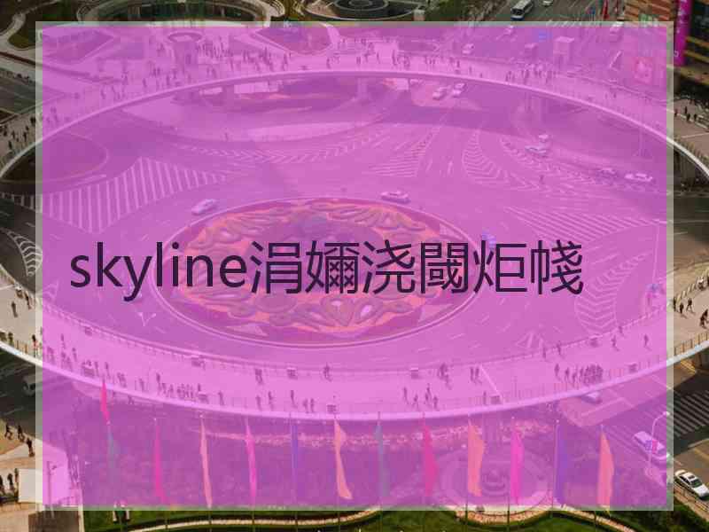 skyline涓嬭浇閾炬帴