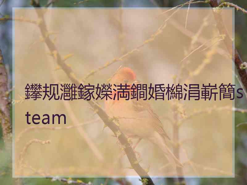 鑻规灉鎵嬫満鐧婚檰涓嶄簡steam