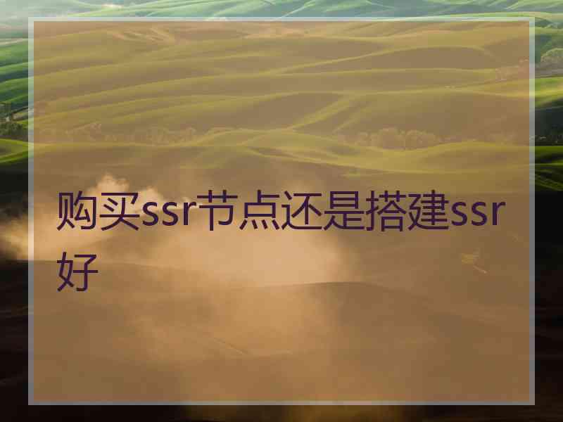 购买ssr节点还是搭建ssr好