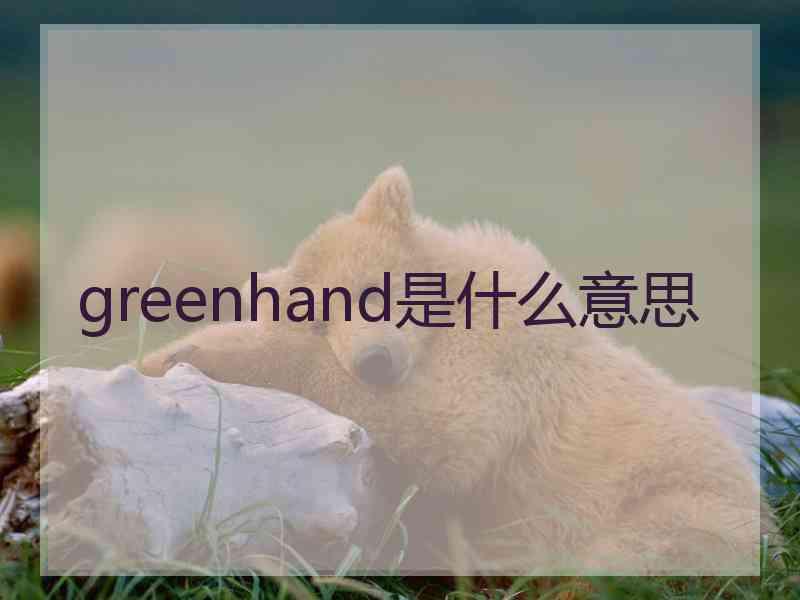 greenhand是什么意思