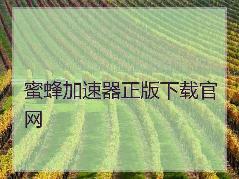 蜜蜂加速器正版下载官网