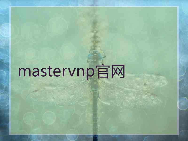 mastervnp官网