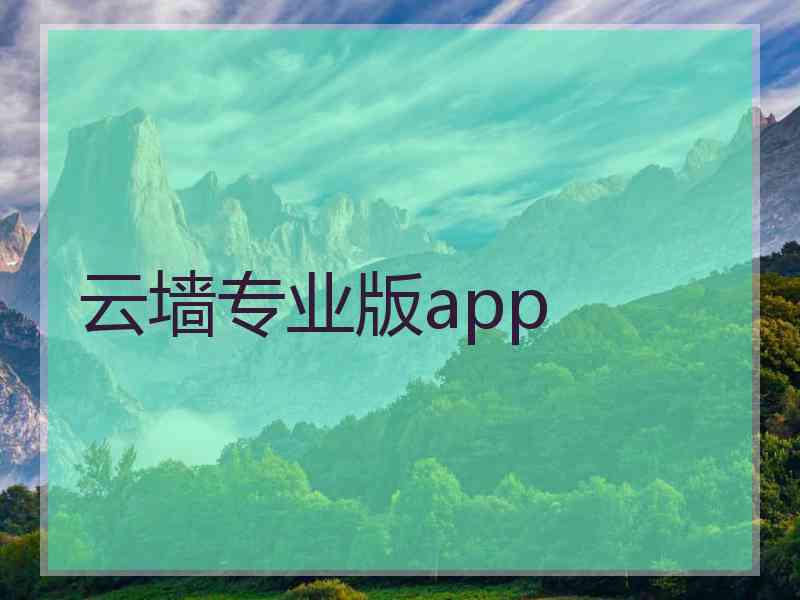 云墙专业版app