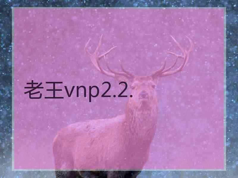 老王vnp2.2.