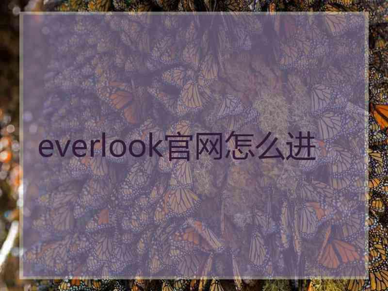 everlook官网怎么进