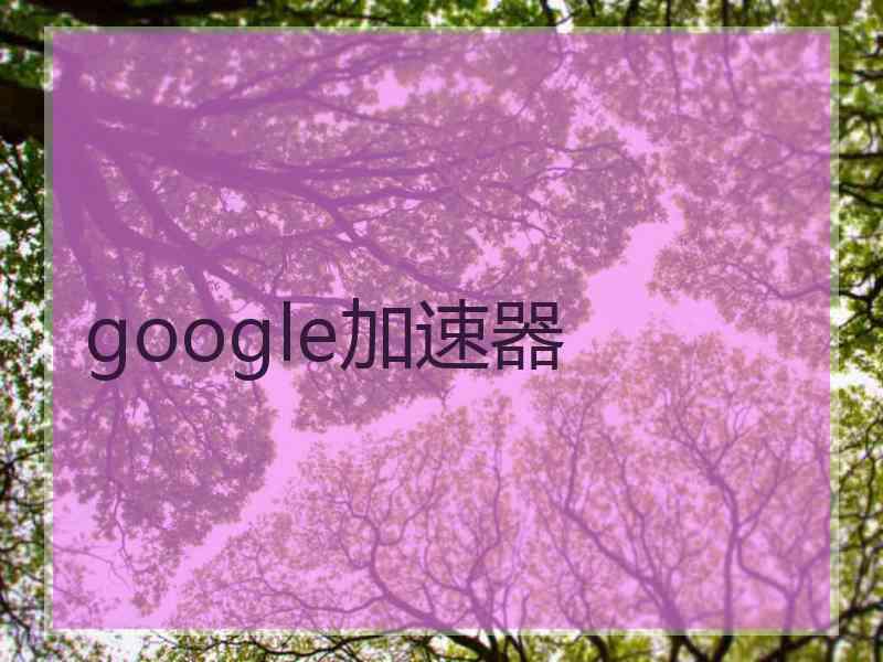 google加速器