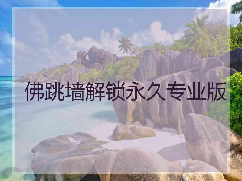 佛跳墙解锁永久专业版