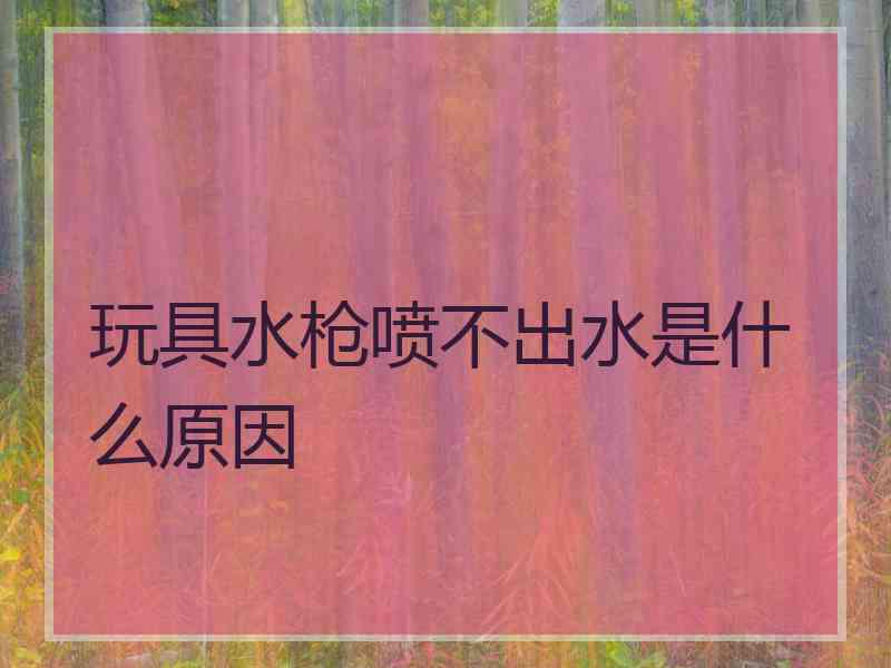 玩具水枪喷不出水是什么原因