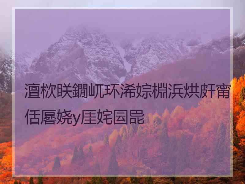 澶栨眹鐗屼环浠婃棩浜烘皯甯佸厬娆у厓姹囩巼