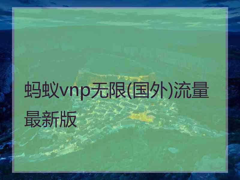 蚂蚁vnp无限(国外)流量最新版