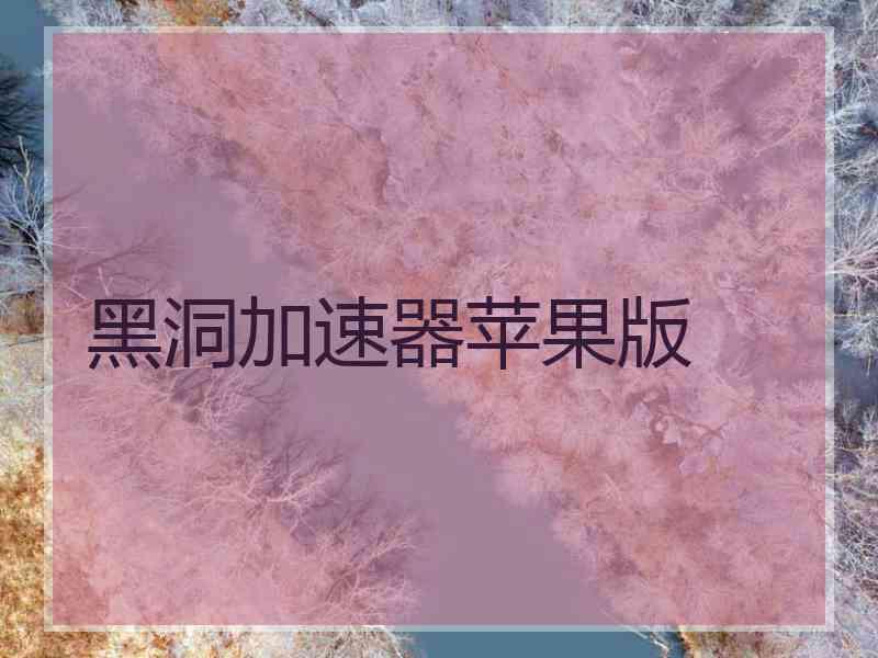 黑洞加速器苹果版