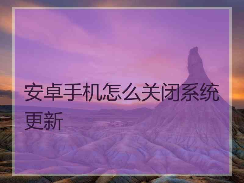 安卓手机怎么关闭系统更新