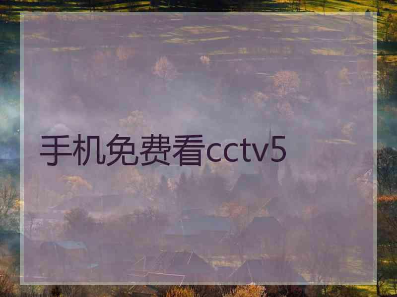 手机免费看cctv5