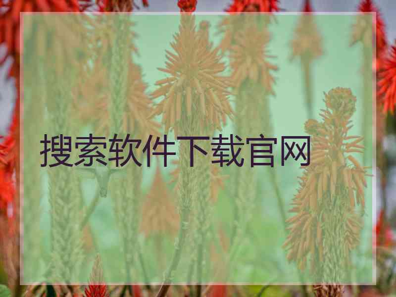 搜索软件下载官网