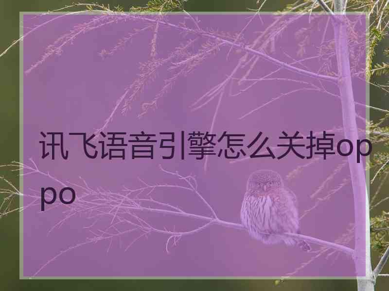 讯飞语音引擎怎么关掉oppo