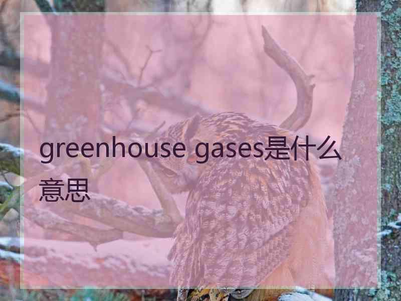 greenhouse gases是什么意思