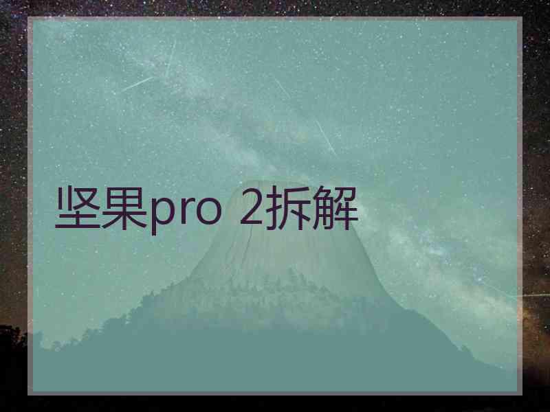 坚果pro 2拆解